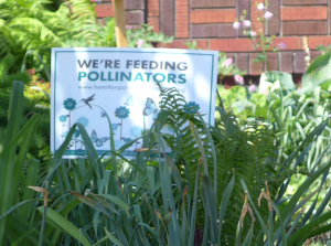 "We're Feeding Pollinators" sign
