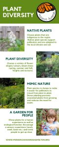 Photo and short blurb on native plants