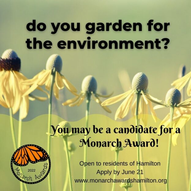 Time to apply for a Monarch Award Monarch Awards Hamilton